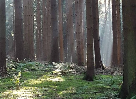 Stress Memmingen Hypnose